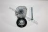 AUTOMEGA 3013400268 Tensioner Lever, v-ribbed belt